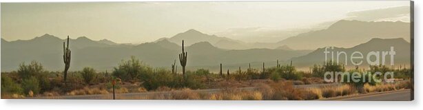 Arizona Acrylic Print featuring the photograph Desert Hills by Julie Lueders 
