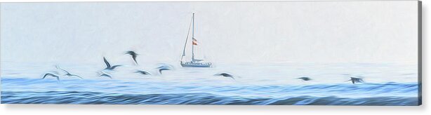 Sailboat Acrylic Print featuring the photograph Sailboat And Gulls by Steven Sparks