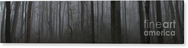 Forest Fog Panorama Prints Fine Art Nature Photography Foggy Forest Images Woodland Fog Prints Wild Places Wilderness Wildscapes Natural Landscapes Fogscapes Forestscapes Treescapes Misty Woods Haunted Woods Haunting Forest Creepy Woods Creepy Fog Rare Nature Prints Rare Prints Pixels.com North American Landscapes Chesapeake Bay Region Landscapes Wetland Forest Fog Decidious Woodland Fog Images Acrylic Print featuring the photograph Forest Fog Panorama by Joshua Bales