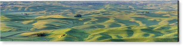 Agriculture Acrylic Print featuring the photograph A spot of Red by Jon Glaser