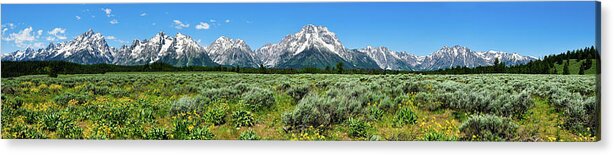 Tetons Acrylic Print featuring the photograph Alpine Meadow Teton Panorama by Greg Norrell