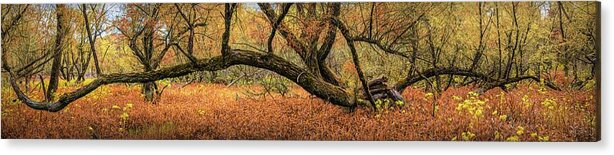 Autumn Acrylic Print featuring the photograph Reaching Out Over the Autumn Meadow by Debra and Dave Vanderlaan