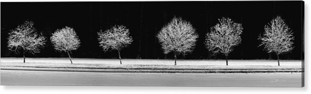 Panoramic Acrylic Print featuring the photograph Frost Line by Ed Boudreau