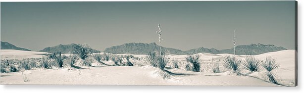 Desert Acrylic Print featuring the photograph Back Country by Racheal Christian