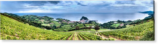 Getaria Vineyards Acrylic Print featuring the photograph Vineyards by the Sea by Weston Westmoreland
