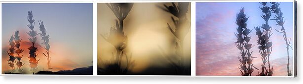 Abstracts Acrylic Print featuring the photograph Triptico Romero by Guido Montanes Castillo