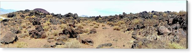 Basaltic Falls Acrylic Print featuring the photograph Volcanic field Panorama by Joe Lach