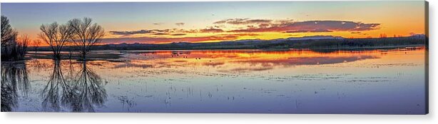 New Mexico Acrylic Print featuring the photograph August 2020 Bosque del Apache Sunrise Panorama by Alain Zarinelli
