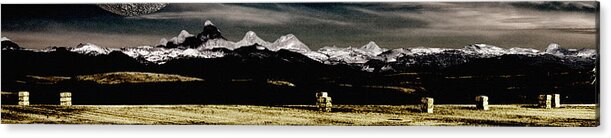 Montana Acrylic Print featuring the pyrography Montana by Bruce Rolff
