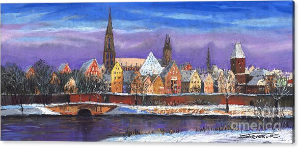 Germany Ulm Panorama Winter by Yuriy Shevchuk