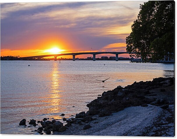 Sarasota FL Bayfront Park Sunset John Ringling Causeway Bridge Florida Pelican by Toby McGuire