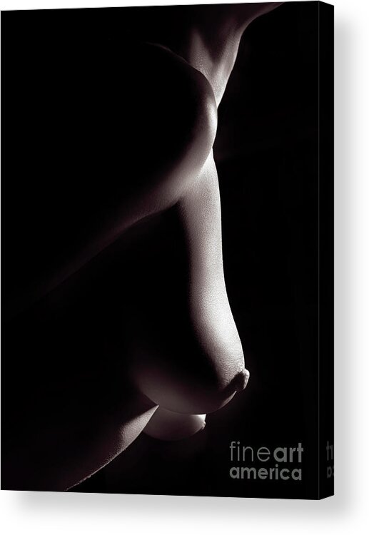 Black And White Erotic Tits - Artistic Closeup Of Nude Woman Breast Black And White Sexy Body Acrylic  Print