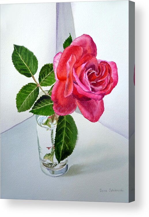 Pink Rose Acrylic Print by Irina Sztukowski