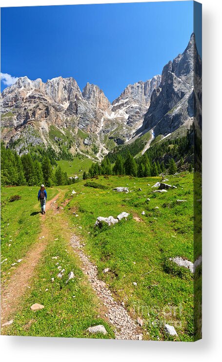 Hiker Acrylic Print featuring the photograph hiking in Contrin Valley by Antonio Scarpi