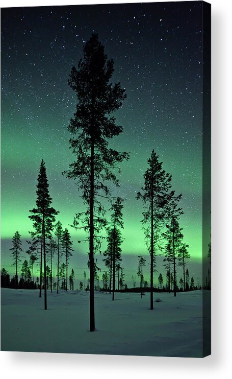 Snow Acrylic Print featuring the photograph Aurora Borealis Above Kiruna, Sweden #1 by David Clapp