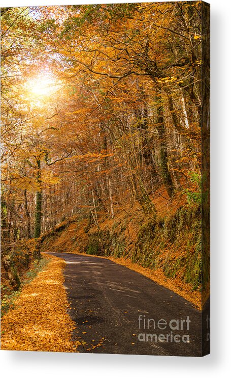 Leaf Acrylic Print featuring the photograph Autumn #2 by Homydesign 
