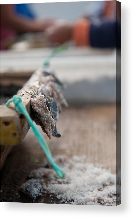 Angler Acrylic Print featuring the photograph Bait on hooks #1 by Joseph Amaral