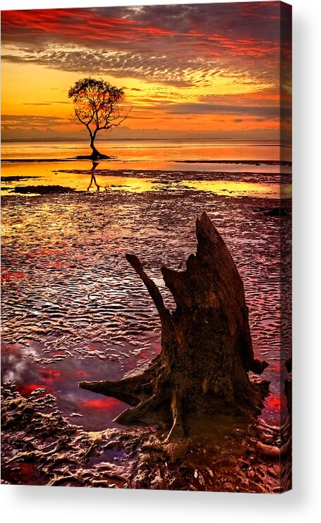 2013 Acrylic Print featuring the photograph Beachmere #1 by Robert Charity