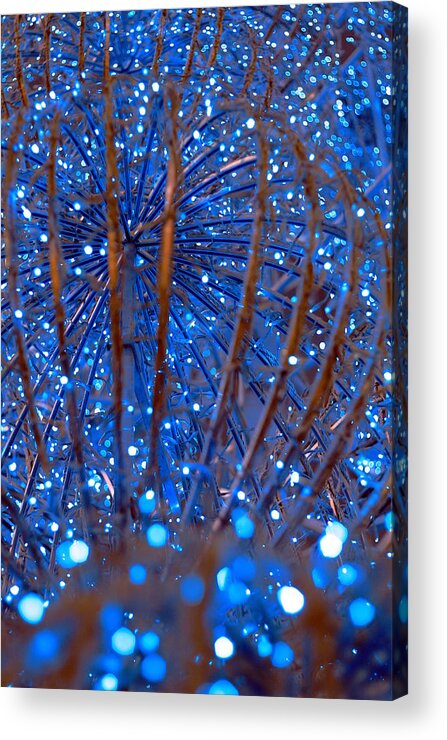 Holiday Acrylic Print featuring the photograph Christmas Lights #1 by Valentino Visentini