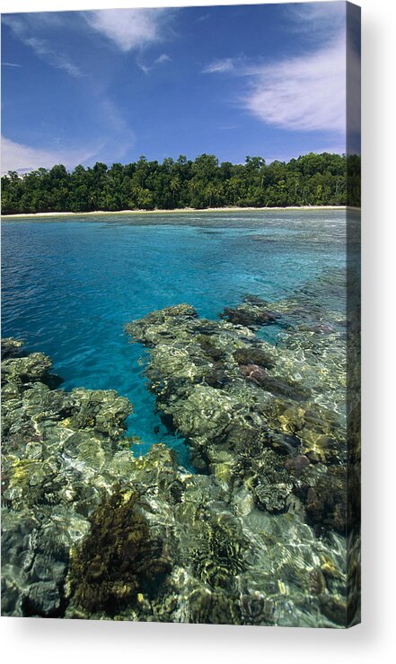 Feb0514 Acrylic Print featuring the photograph Coral Lagoon And Palm Beach Rani Island #1 by Konrad Wothe