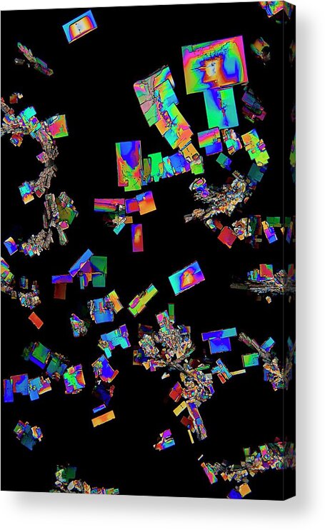 Bacteremia Acrylic Print featuring the photograph Creatinine Crystals #1 by Antonio Romero/science Photo Library