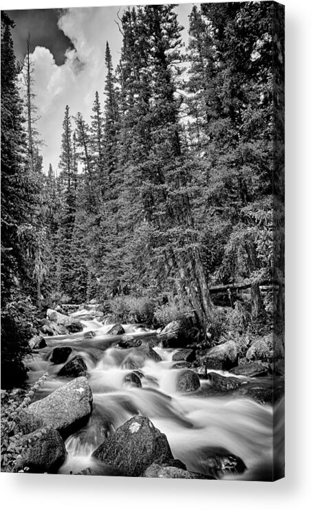 Mountain Stream Acrylic Print featuring the photograph Forest Stream in Black and White #2 by James BO Insogna