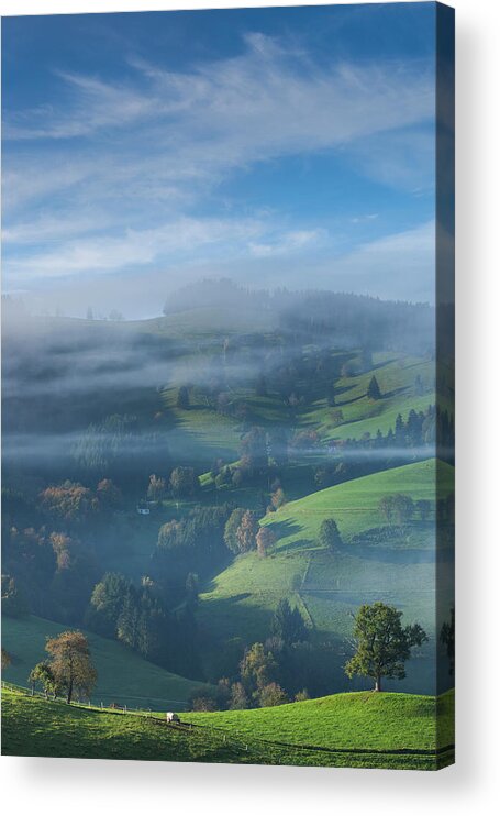 Autumn Acrylic Print featuring the photograph Germany, Baden-wurttemberg, Black #1 by Walter Bibikow