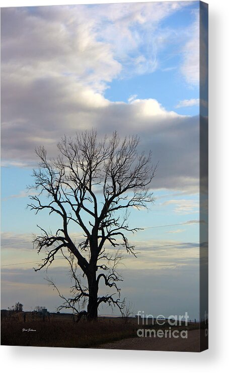 Tree Acrylic Print featuring the photograph Lone Tree by Yumi Johnson