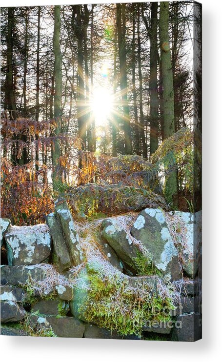 Sun Acrylic Print featuring the photograph Melting the Mist #1 by David Birchall
