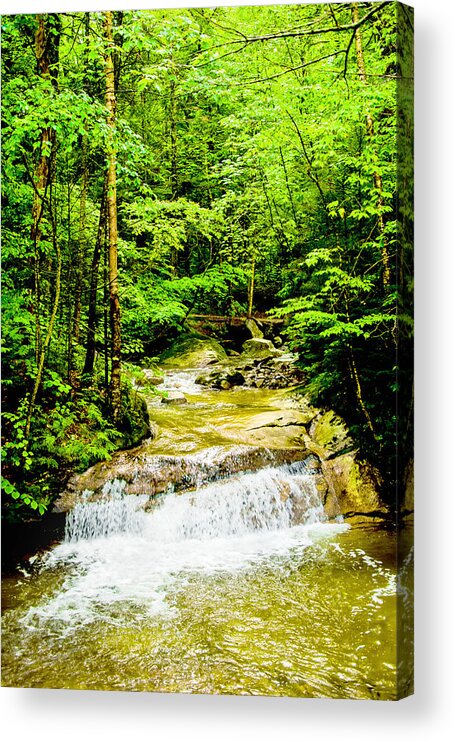 Crawford Notch Acrylic Print featuring the photograph Oasis #1 by Greg Fortier