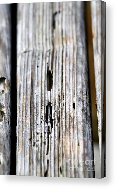 Old Acrylic Print featuring the photograph Old Wood Texture #1 by Henrik Lehnerer