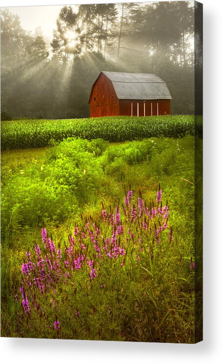 Barn Acrylic Print featuring the photograph Touched by the Sun #2 by Debra and Dave Vanderlaan