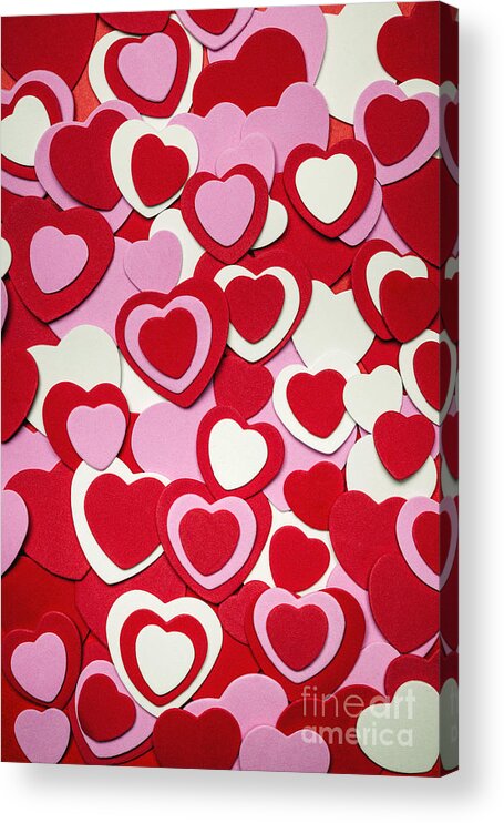 Hearts Acrylic Print featuring the photograph Valentines day hearts 3 by Elena Elisseeva