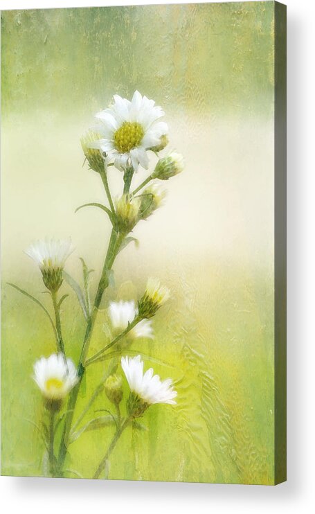 Flowers Acrylic Print featuring the photograph Wild Flowers #1 by Joan Bertucci