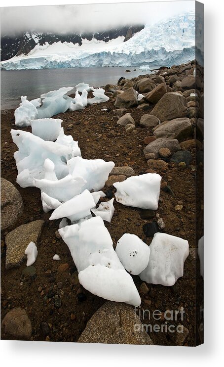 Antarctica Acrylic Print featuring the photograph Antarctica #14 by John Shaw