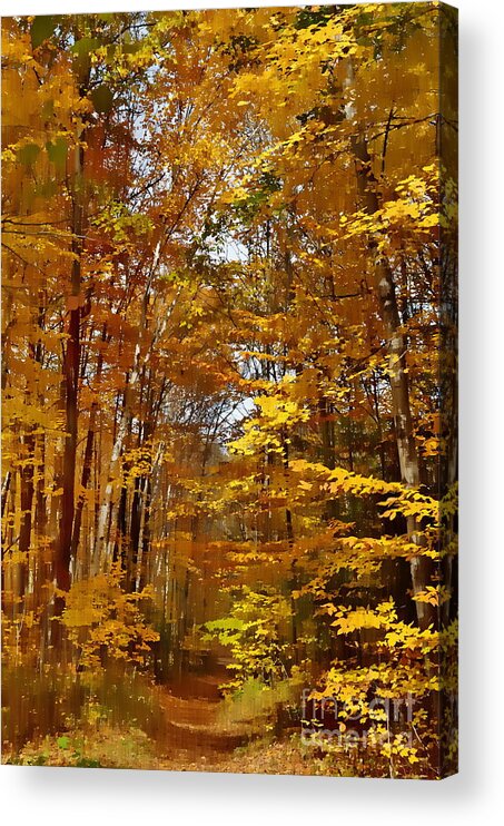 Autumn Acrylic Print featuring the photograph Golden Autumn #2 by Andrea Kollo