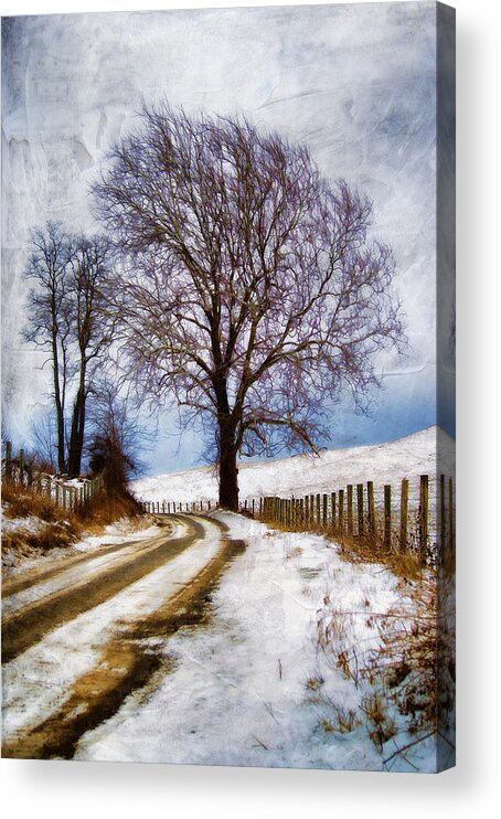 Winter Acrylic Print featuring the photograph In The Distance #2 by Kathy Jennings