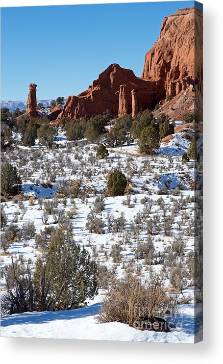 Afternoon Acrylic Print featuring the photograph Kodachrome Basin #2 by Fred Stearns