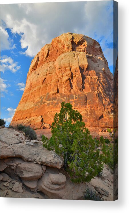 Utah Acrylic Print featuring the photograph Last Light #2 by Ray Mathis