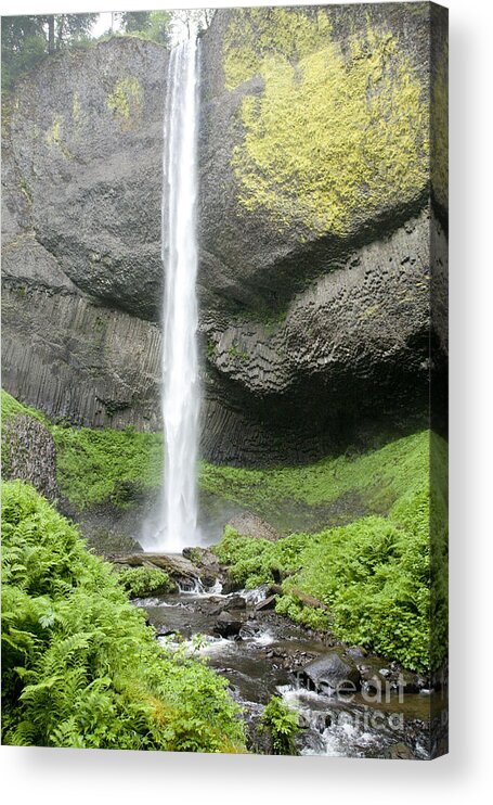 Waterfall Acrylic Print featuring the photograph Latourelle Falls 4d by Rich Collins