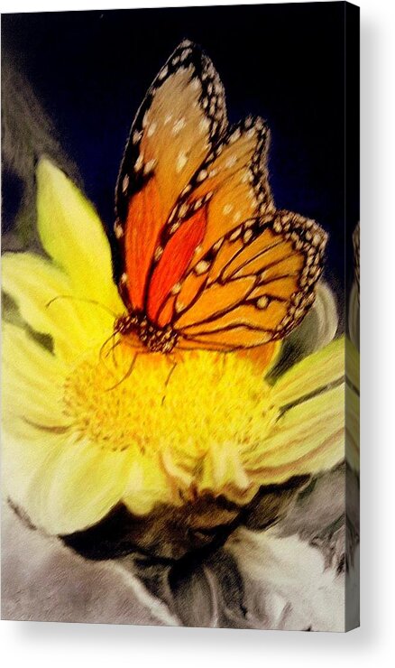 Monarch Acrylic Print featuring the pastel Monarch Resting Sold Pastel by Antonia Citrino