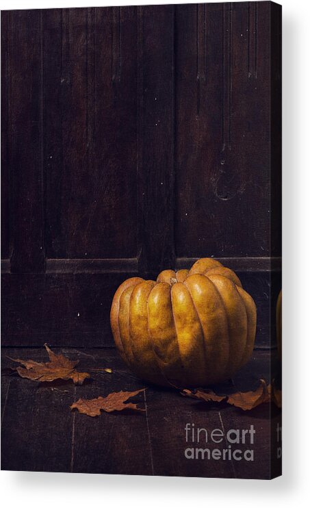 Halloween Acrylic Print featuring the photograph Pumpkin on dark background by Jelena Jovanovic