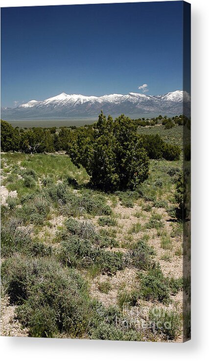 Schell Creek Range Acrylic Print featuring the photograph 614P Schell Creek Range NV by NightVisions