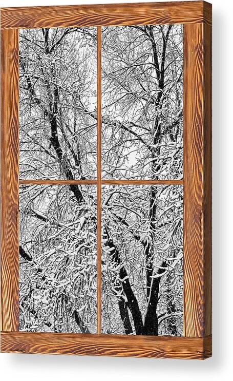 Windows Acrylic Print featuring the photograph Snowy Tree Branches Barn Wood Picture Window Frame View #2 by James BO Insogna