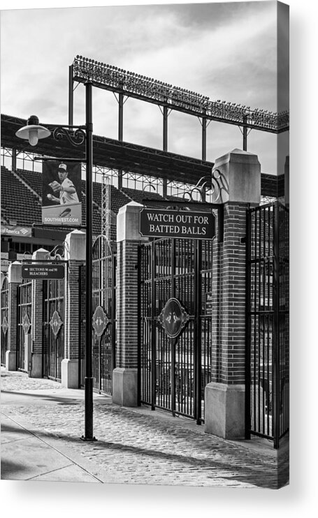 Baltimore Acrylic Print featuring the photograph Watch Out For Batted Balls by Susan Candelario