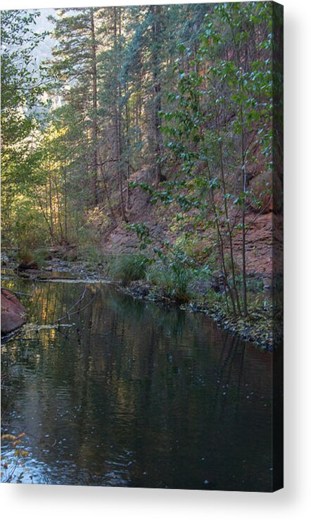 Snow Acrylic Print featuring the photograph West Fork #4 by Tam Ryan