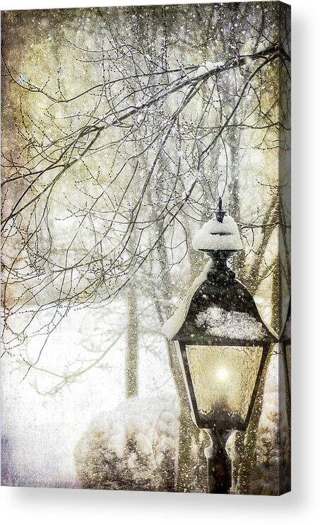 Winter Acrylic Print featuring the photograph Winter Stillness #1 by Julie Palencia
