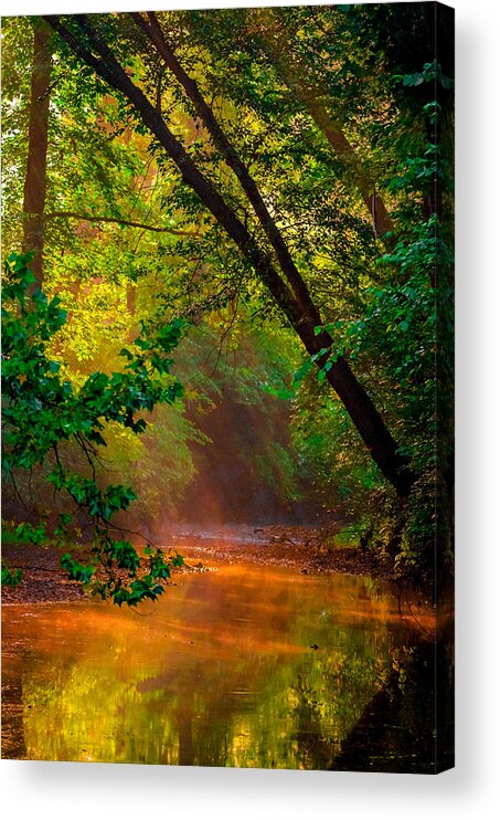 Back Light Acrylic Print featuring the photograph Sunbeam Stream #3 by Brian Stevens