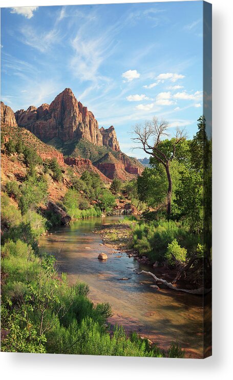 Scenics Acrylic Print featuring the photograph Zion Canyon National Park #3 by Michele Falzone