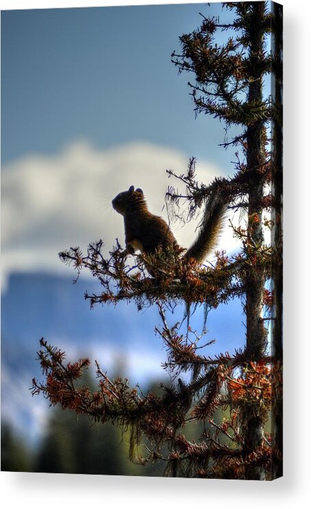 Banff Alberta Canada Acrylic Print featuring the photograph Banff Alberta Canada #30 by Paul James Bannerman